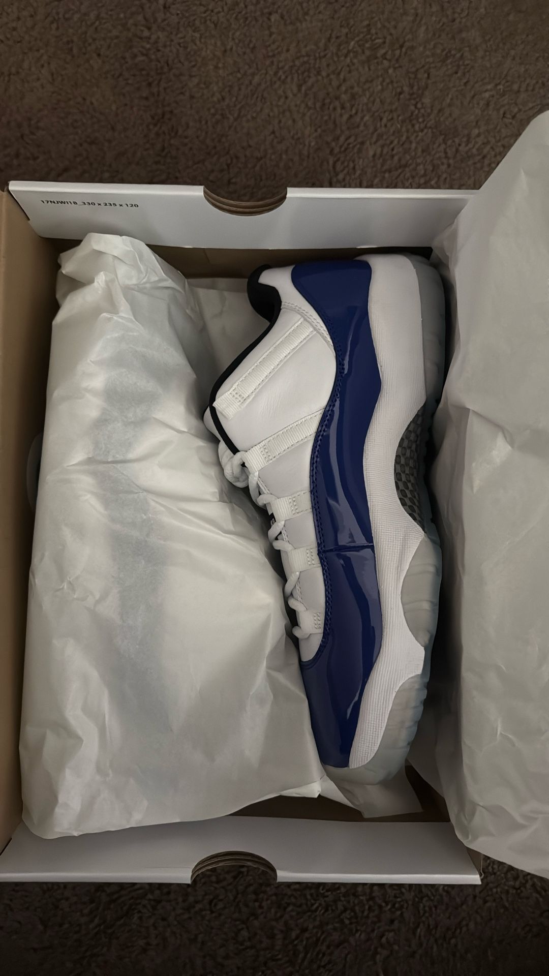 Jordan 11 Low Concord Sketch