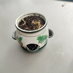 Small Pot