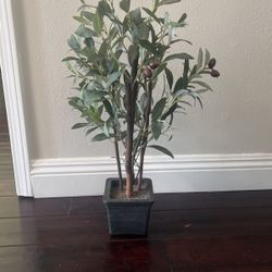 Faux Olive Tree