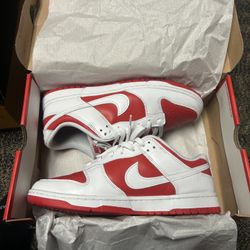 Nike Champion Red Dunk 