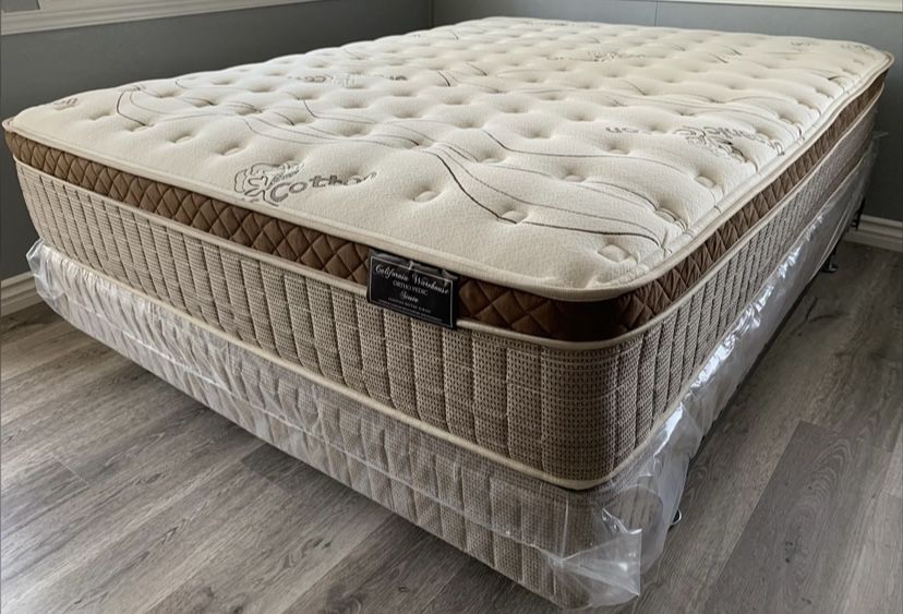 Queen Organic Cloud Edition Europillow Top 12inch Matres!!