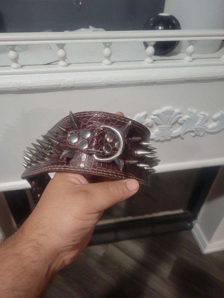 Spike Dog Collar Xl