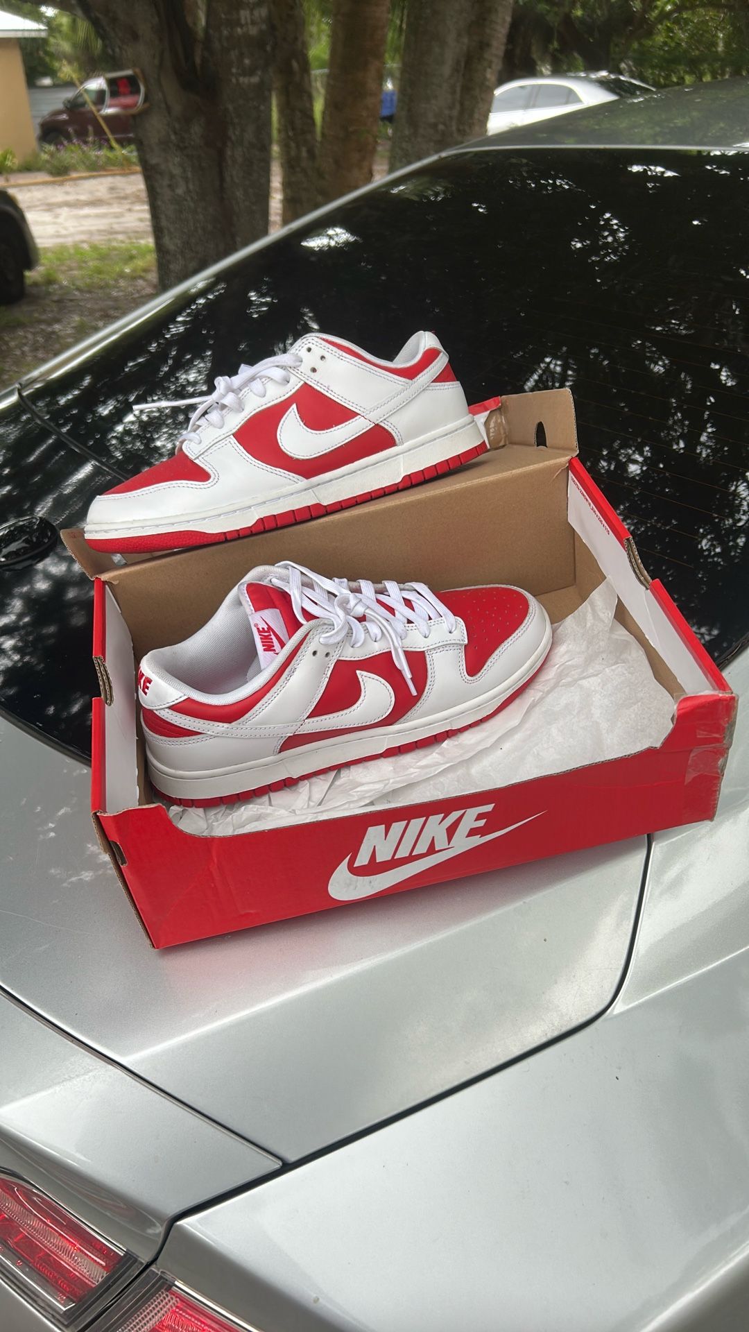 Nike Dunk Low