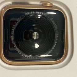 I Phone Apple Watch SE Roast