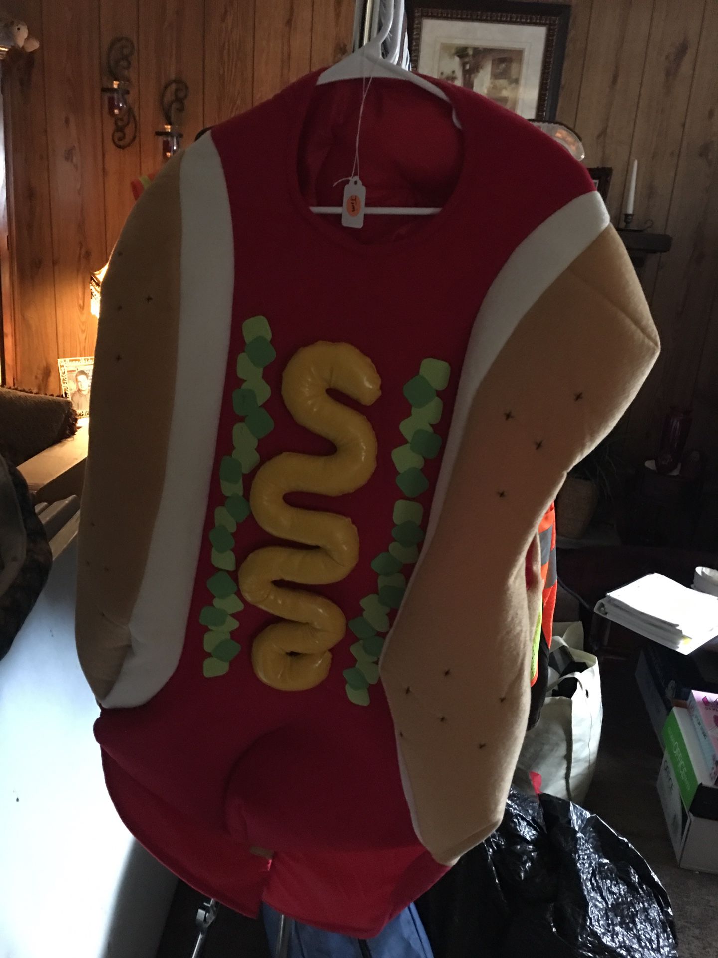 Hot dog with bun Halloween costume.