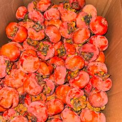 Organic Persimmons 