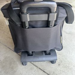 Picnic  Ascot Insulated Picnic Cooler
