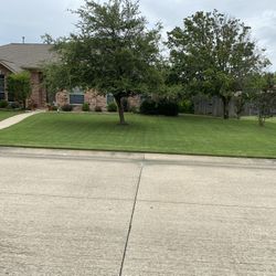 Busco Trabajador Para Las Yardas 