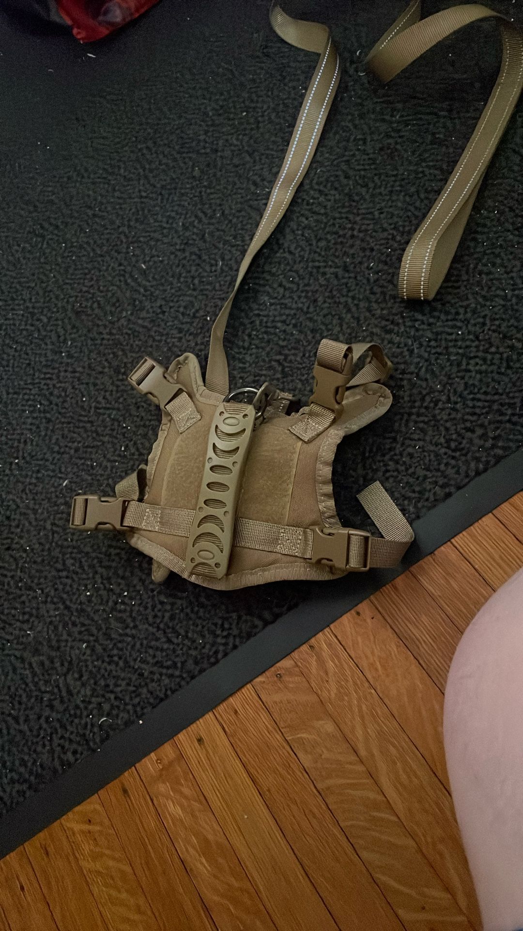 Olive Drab Cat Halter/Leash