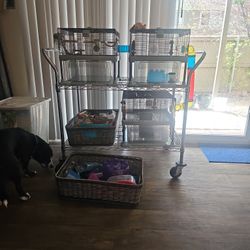 The Ultimate Hamster Home / Cage