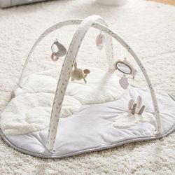 Skip Hop x pbk Dreamy Skies Activity Gym