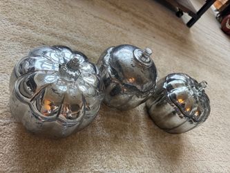 3 Glass Silver pumpkin Display Containers
