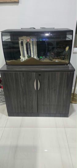 Fish tank with stand