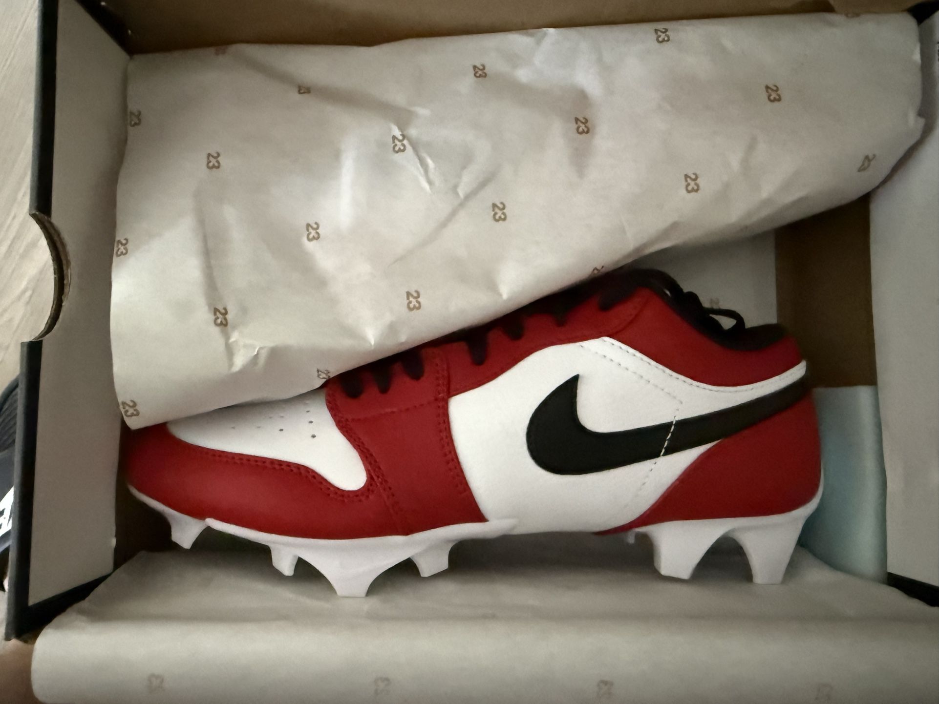 Jordan 1 low TD