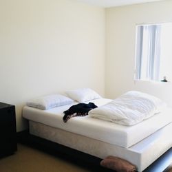 Tempurpedic Queen box spring- Excellent Condition