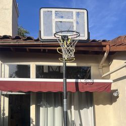 Lifetime Basketball Hoop