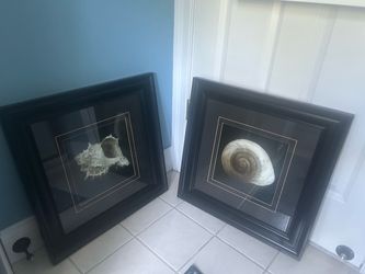 Framed Seashell Wall Art Set of 2