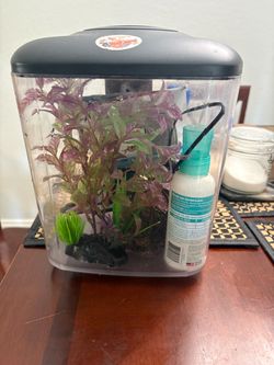 1 gallon aqueon aquarium