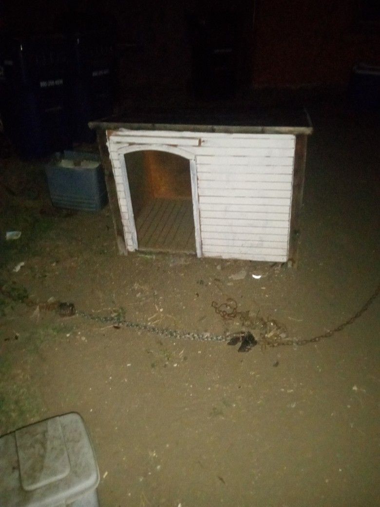 Dog House 