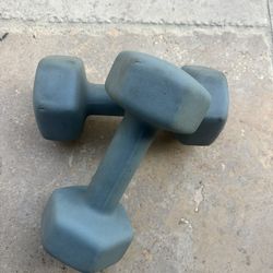 10 lbs Dumbbells x2