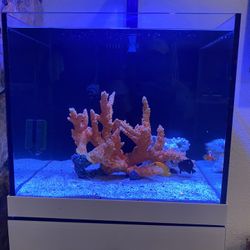 Fish Tank For Sale!!