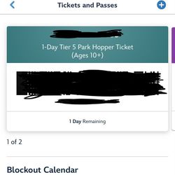 Disneyland Tickets 