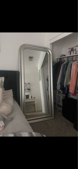 Body mirror