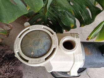 Pool pump