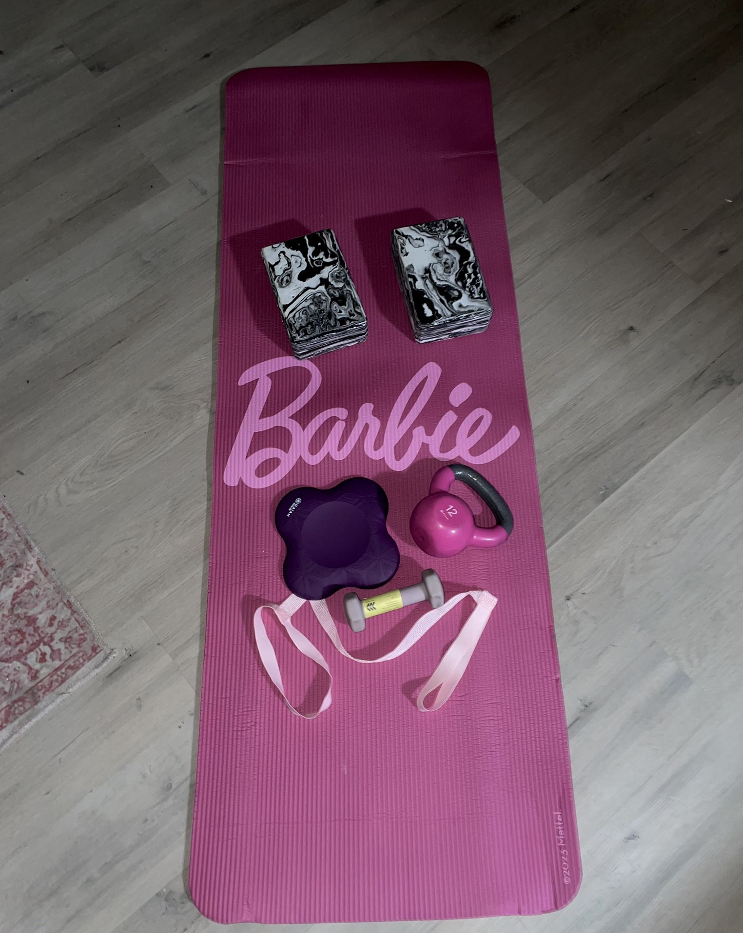 women’s workout/fitness equipment 