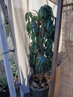 Artificial plant