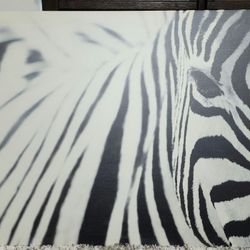 Large Zebra Wall Art