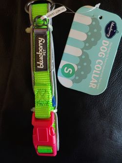 Dog Collar Talla Small
