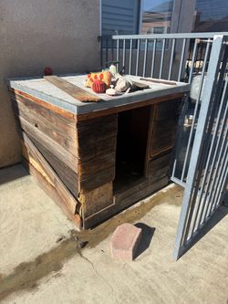 Dog house