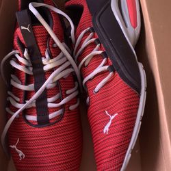 Puma Shoes 