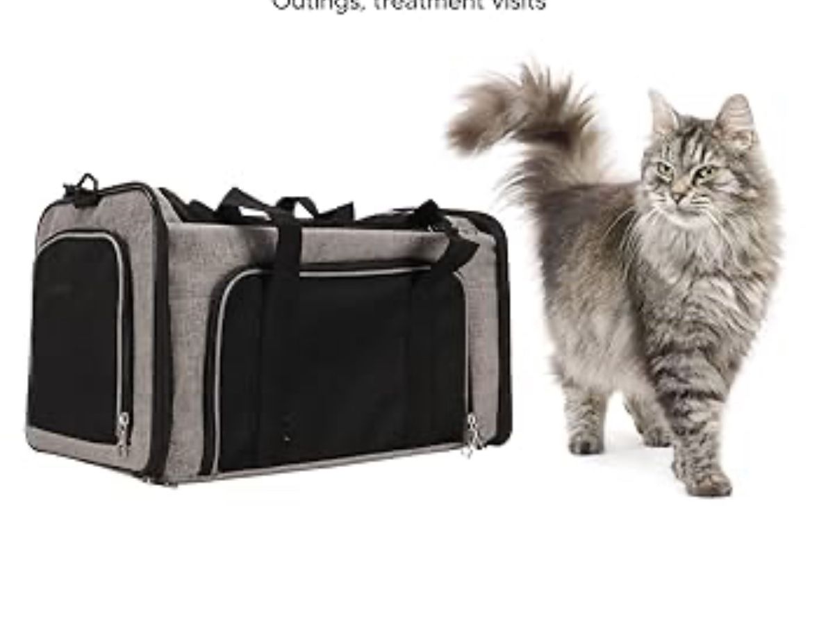 Cat Carrier Portable Breathable , Soft Pet Bag 