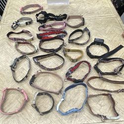 Dog Collar 