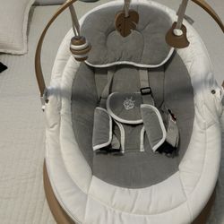 Baby Bouncer 
