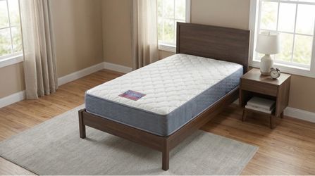 Twin size mattress ortho rest brand