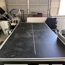 ping pong/ air hockey table