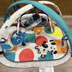 Baby Einstein 4 in 1 Play Gym