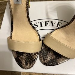 Steve Madden Stiletto