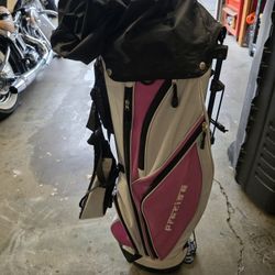 Lady's Stand Bag