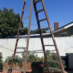 12ft Ladder