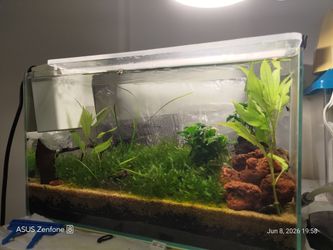 AQUARIUM TANK 4