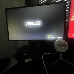 ASUS MONITOR + SNOWBALL MIC