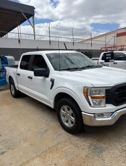 Ford F150 Pick-Up Truck (V6)