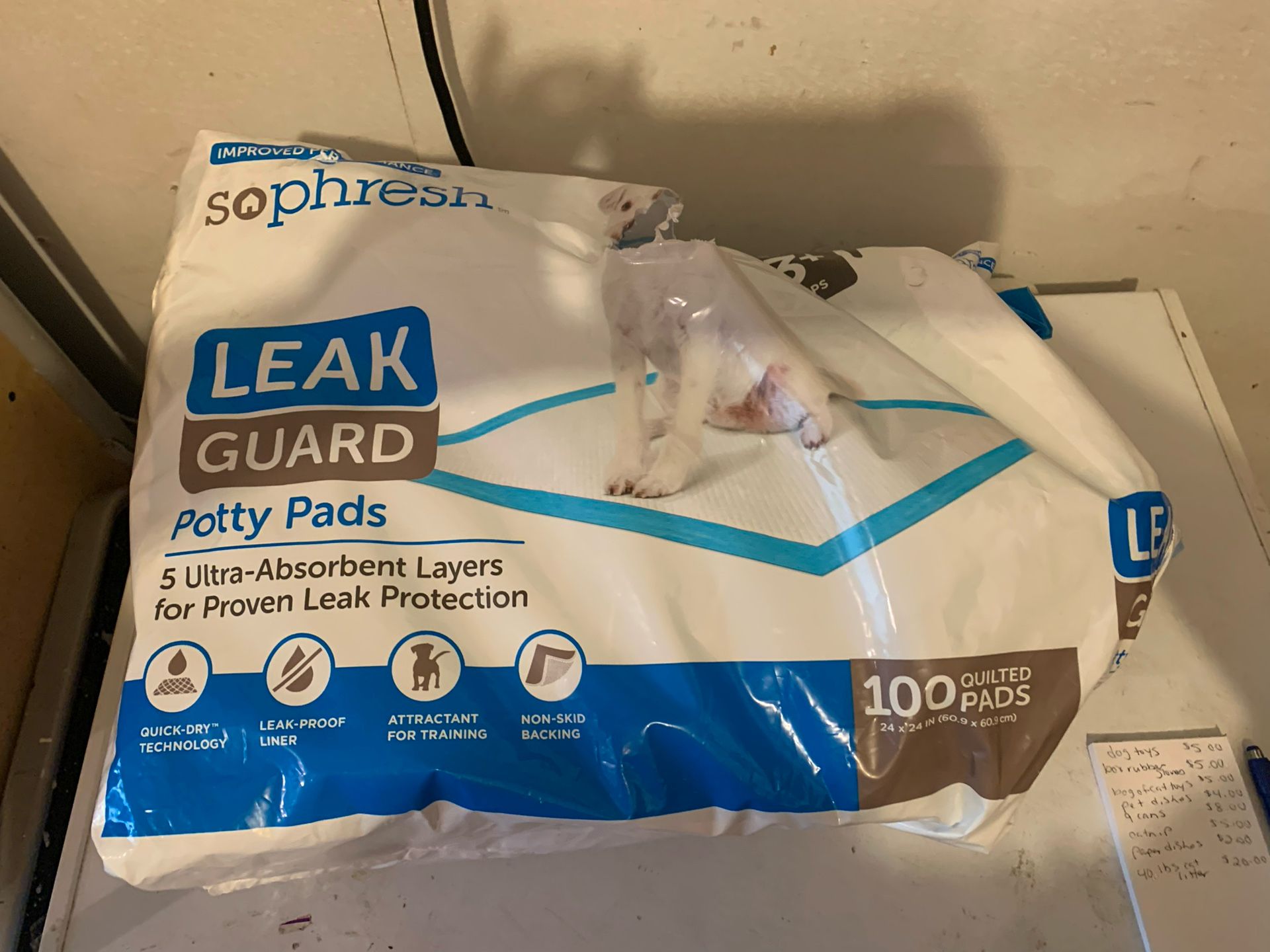 Large Potty Pads 24 X 24