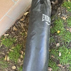 Everlast Punching Bag