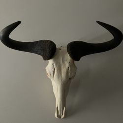 Decorative Bull Horns
