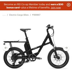 Co Op e 1.1 Generation Electric Bike